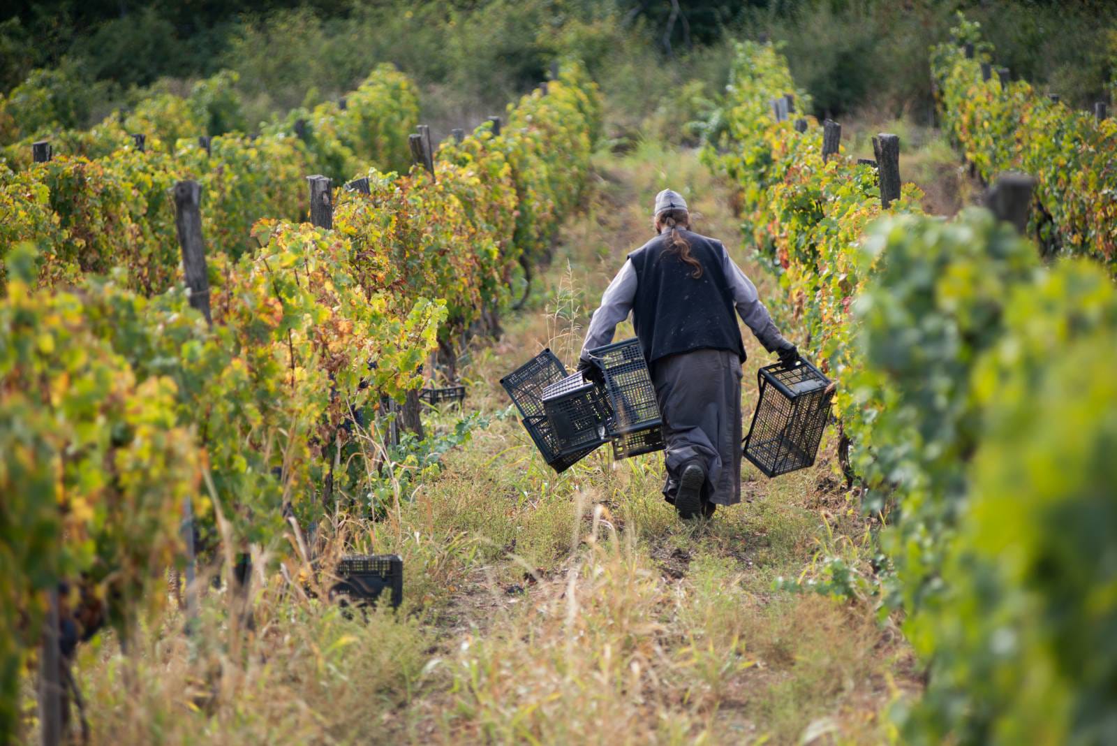 Monastero di Bukovo © Sead Šašivarević for USAID