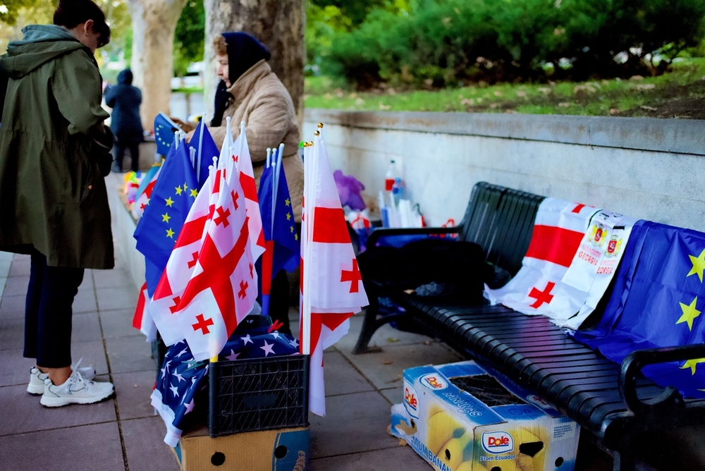 Manifestazione pro-UE a Tbilisi - © Mirko Kuzmanovic/Shutterstock