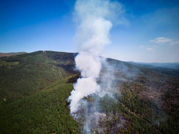 Macedonia del Nord, foresta in fiamme © jordeangelovic/Shutterstock