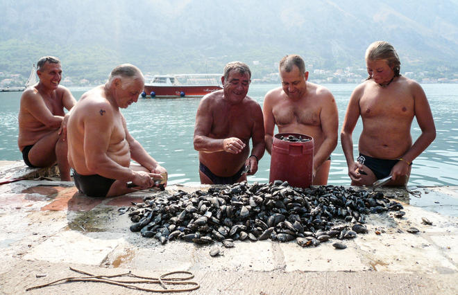 Kotor - Gianluca Pardelli Kotor - Gianluca Pardelli