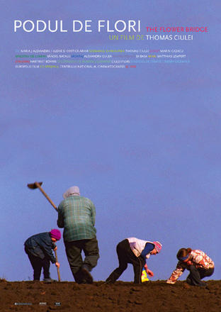 La locandina del film "Il ponte dei fiori" La locandina del film "Il ponte dei fiori"